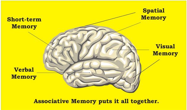 what-is-visual-spatial-working-memory-south-county-child-family