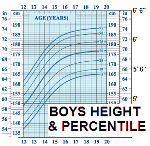 average height for 8 year old boy in cm