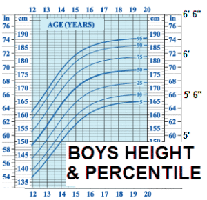 percentiles boys height