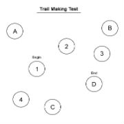 Trail-Making-Test